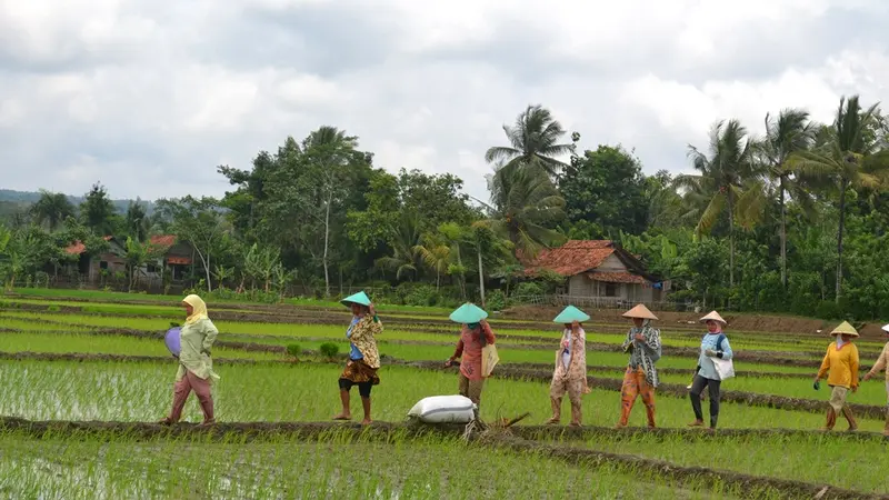Aktivitas di Desa Gunung Putih 2